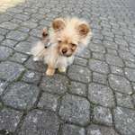 Ersteller:in Mark Profilbild