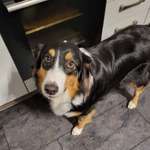 Ersteller:in Andrea Profilbild