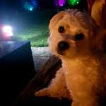 Ersteller:in Verena Profilbild