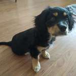 Ersteller:in Aditi Profilbild