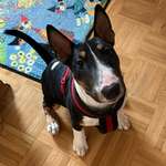 Ersteller:in Luja Profilbild