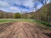 Hundeauslaufgebiet-Eingezäunte Hundewiese-Bild