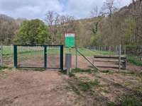 Hundeauslaufgebiet-Eingezäunte Hundewiese-Bild
