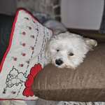 Ersteller:in Marlene Profilbild