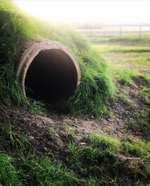 Hundeauslaufgebiet-Ankum-Bild