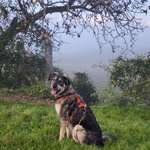 Ersteller:in Vanessa Profilbild