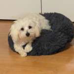 Ersteller:in Maria Profilbild