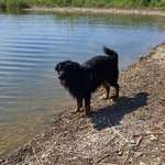 Ersteller:in Ruth Profilbild