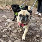 Ersteller:in Nicole Profilbild