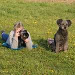 Ersteller:in Pia Profilbild