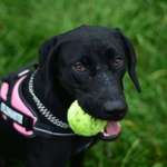 Ersteller:in Sarah Profilbild