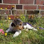 Ersteller:in A. Profilbild