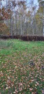 Hundeauslaufgebiet-Vossbarg-Bild