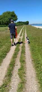 Hundeauslaufgebiet-Hasselberg-Bild