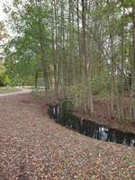 Hundeauslaufgebiet-Wassermannpark (Schnelsen)-Bild