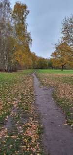 Hundeauslaufgebiet-Vossbarg-Bild