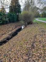 Hundeauslaufgebiet-Wassermannpark (Schnelsen)-Bild