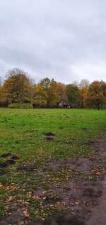 Hundeauslaufgebiet-Vossbarg-Bild