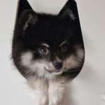 Ersteller:in Leonie und Nina Profilbild