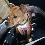 Ersteller:in Hei Profilbild