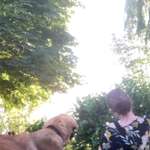 Ersteller:in Sarah Profilbild