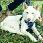 Ersteller:in Mary Profilbild