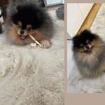 Ersteller:in Emily Profilbild