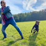 Ersteller:in Stephan Profilbild