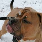 Ersteller:in Anja Profilbild