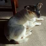 Ersteller:in Heinz Jürgen Profilbild