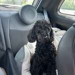 Ersteller:in Vivien Profilbild