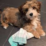 Ersteller:in Rita Profilbild