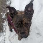 Ersteller:in Mona Profilbild