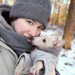 Ersteller:in Morlin Profilbild