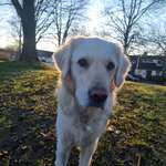 Ersteller:in I. Profilbild