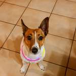 Ersteller:in Lisa Profilbild