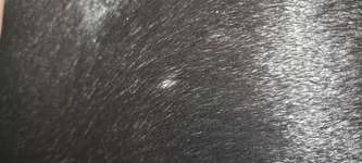 Pickel am ganzen Körper-Beitrag-Bild