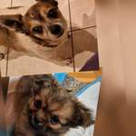 Ersteller:in Martina Profilbild