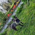 Ersteller:in Sandra Profilbild