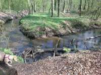 Hundeauslaufgebiet-An der Burg/Silvertbach-Bild