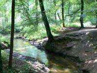 Hundeauslaufgebiet-An der Burg/Silvertbach-Bild