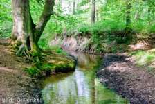Hundeauslaufgebiet-An der Burg/Silvertbach-Bild