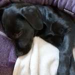 Ersteller:in Laura Profilbild