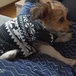 Ersteller:in Madeleine Profilbild