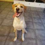 Ersteller:in Kyara Profilbild