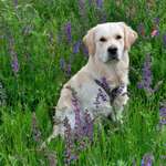 Ersteller:in Evelyn Profilbild