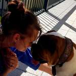 Ersteller:in Solli Profilbild