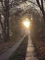 Hundeauslaufgebiet-Marschbahndamm zwischen Fünfhausen und Ochsenwerder-Bild