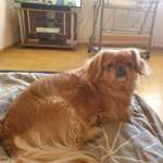 Ersteller:in Chantal Profilbild