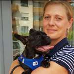 Ersteller:in Stephie Profilbild